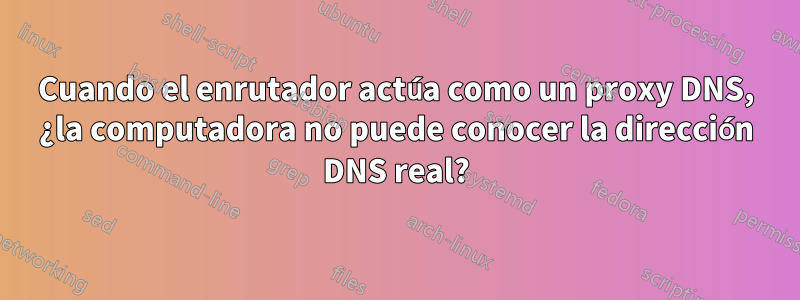 Cuando el enrutador actúa como un proxy DNS, ¿la computadora no puede conocer la dirección DNS real?