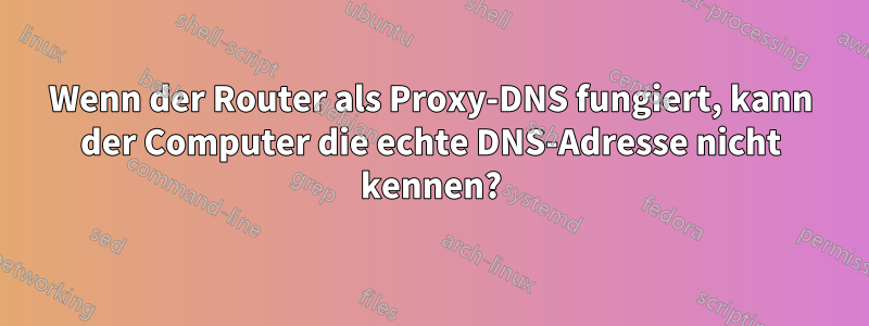 Wenn der Router als Proxy-DNS fungiert, kann der Computer die echte DNS-Adresse nicht kennen?