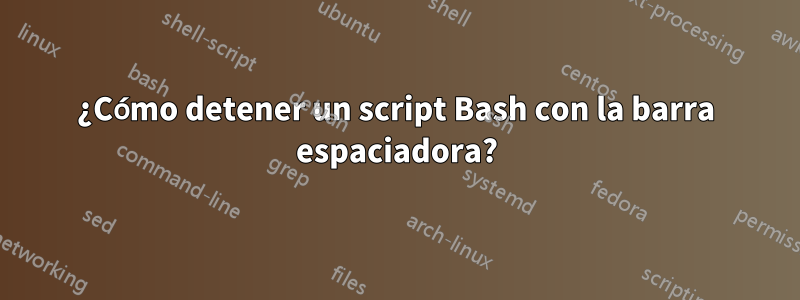 ¿Cómo detener un script Bash con la barra espaciadora?