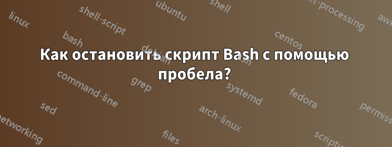 Как остановить скрипт Bash с помощью пробела?