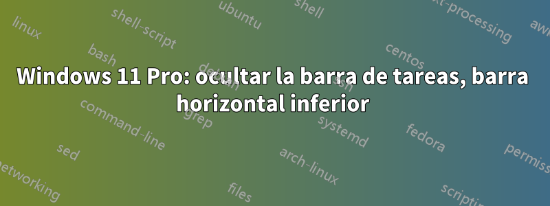 Windows 11 Pro: ocultar la barra de tareas, barra horizontal inferior