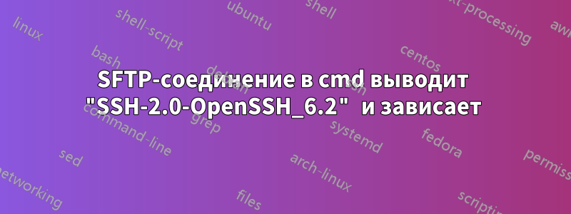 SFTP-соединение в cmd выводит "SSH-2.0-OpenSSH_6.2" и зависает