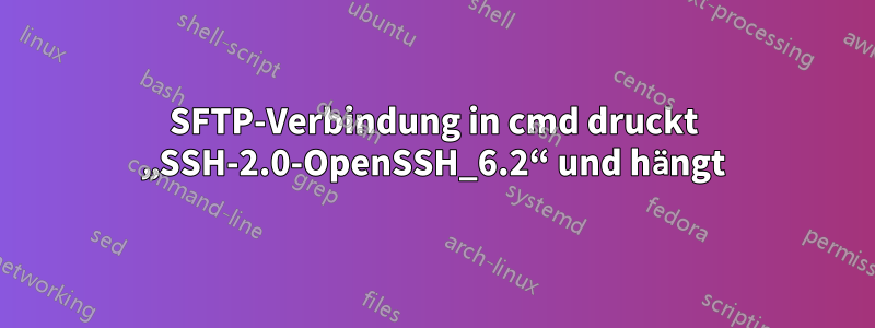 SFTP-Verbindung in cmd druckt „SSH-2.0-OpenSSH_6.2“ und hängt