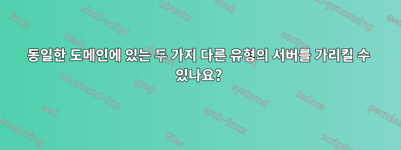 동일한 도메인에 있는 두 가지 다른 유형의 서버를 가리킬 수 있나요?