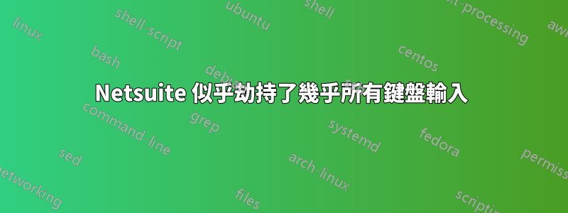 Netsuite 似乎劫持了幾乎所有鍵盤輸入