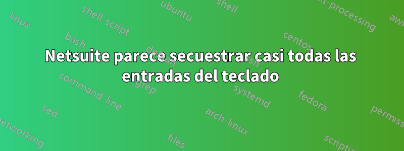 Netsuite parece secuestrar casi todas las entradas del teclado