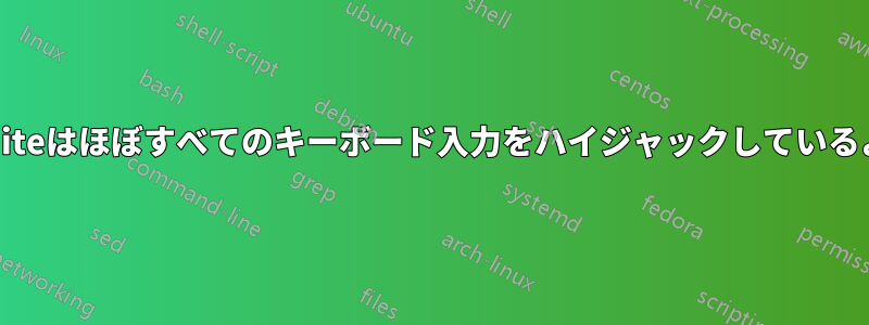 Netsuiteはほぼすべてのキーボード入力をハイジャックしているようだ