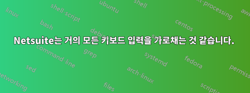 Netsuite는 거의 모든 키보드 입력을 가로채는 것 같습니다.