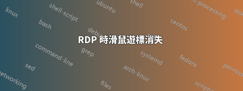 RDP 時滑鼠遊標消失