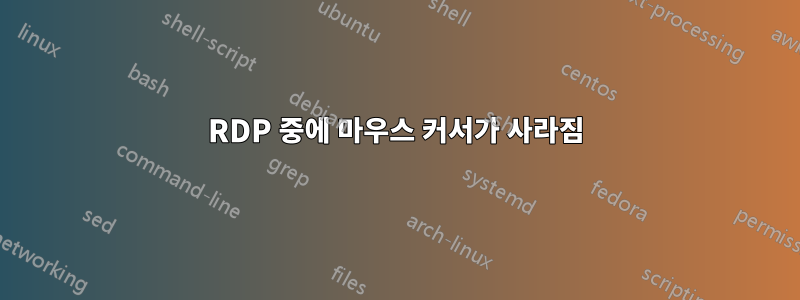 RDP 중에 마우스 커서가 사라짐