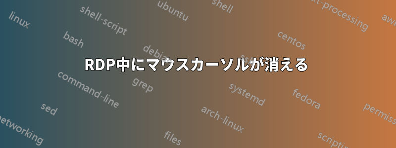 RDP中にマウスカーソルが消える