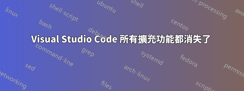 Visual Studio Code 所有擴充功能都消失了