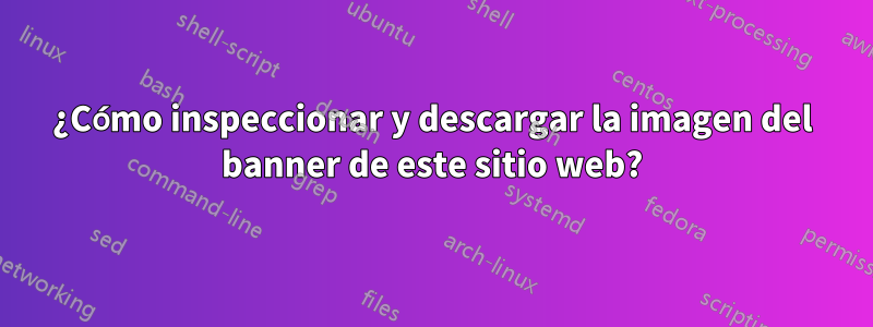 ¿Cómo inspeccionar y descargar la imagen del banner de este sitio web?