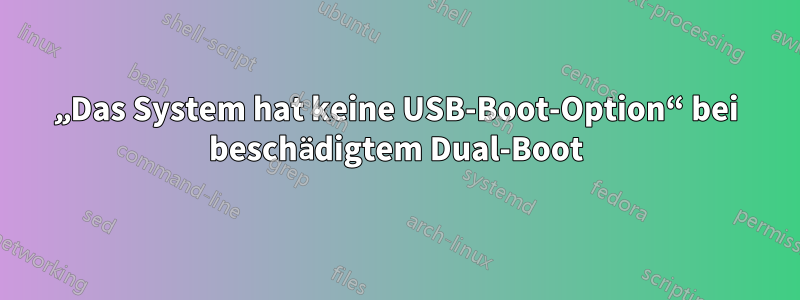 „Das System hat keine USB-Boot-Option“ bei beschädigtem Dual-Boot