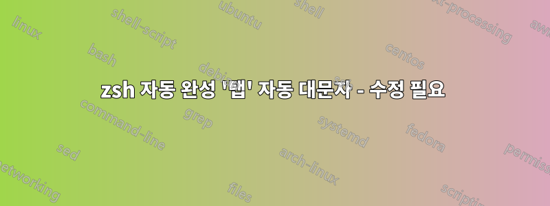 zsh 자동 완성 '탭' 자동 대문자 - 수정 필요