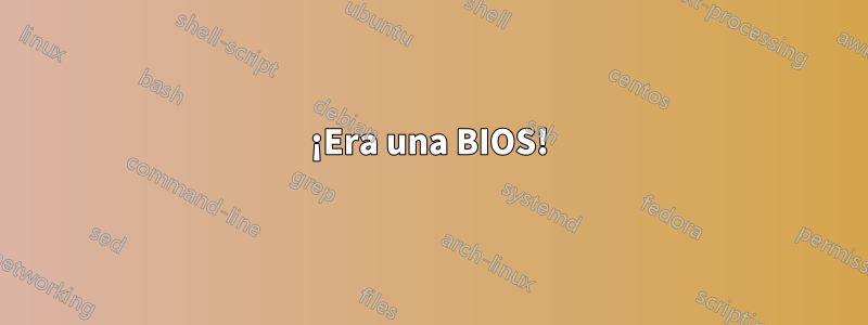 ¡Era una BIOS!