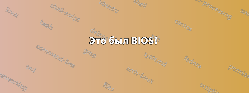 Это был BIOS!