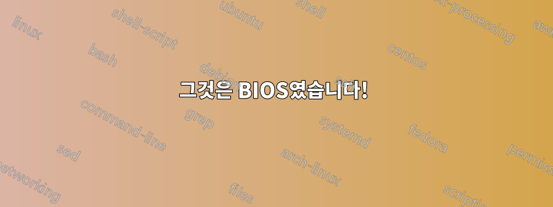그것은 BIOS였습니다!