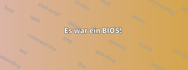 Es war ein BIOS!