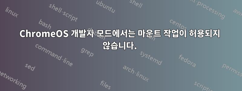 ChromeOS 개발자 모드에서는 마운트 작업이 허용되지 않습니다.