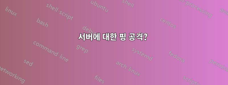 서버에 대한 핑 공격?