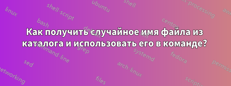 Как получить случайное имя файла из каталога и использовать его в команде?