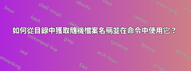如何從目錄中獲取隨機檔案名稱並在命令中使用它？