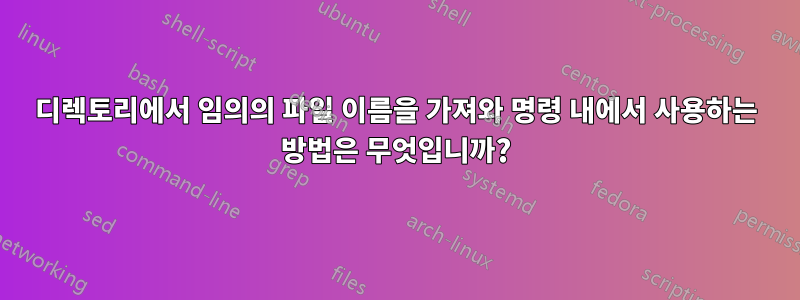 디렉토리에서 임의의 파일 이름을 가져와 명령 내에서 사용하는 방법은 무엇입니까?