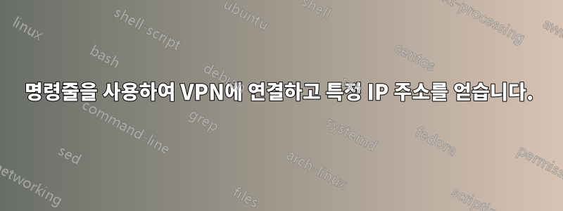 명령줄을 사용하여 VPN에 연결하고 특정 IP 주소를 얻습니다.