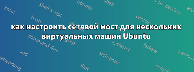 как настроить сетевой мост для нескольких виртуальных машин Ubuntu