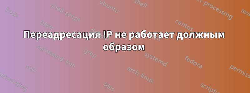 Переадресация IP не работает должным образом