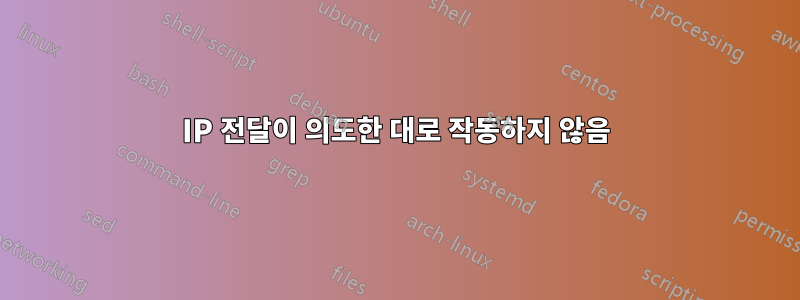 IP 전달이 의도한 대로 작동하지 않음