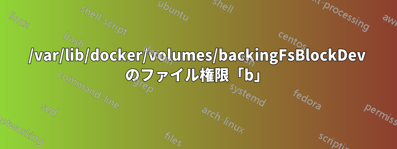 /var/lib/docker/volumes/backingFsBlockDev のファイル権限「b」