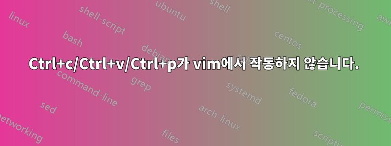 Ctrl+c/Ctrl+v/Ctrl+p가 vim에서 작동하지 않습니다.