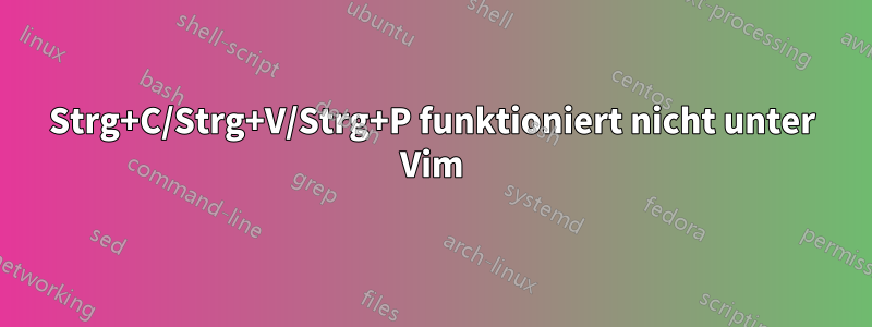 Strg+C/Strg+V/Strg+P funktioniert nicht unter Vim