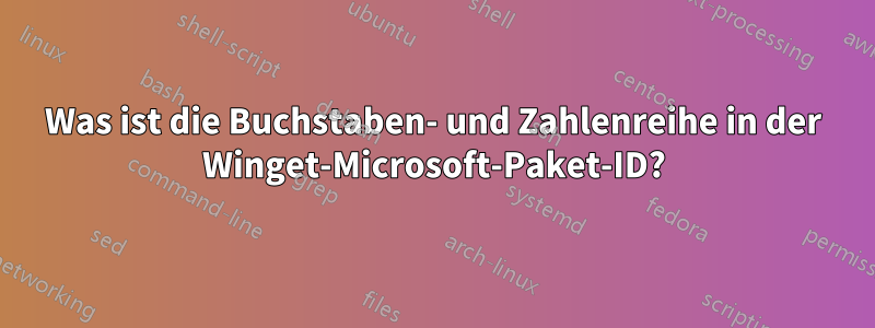 Was ist die Buchstaben- und Zahlenreihe in der Winget-Microsoft-Paket-ID?