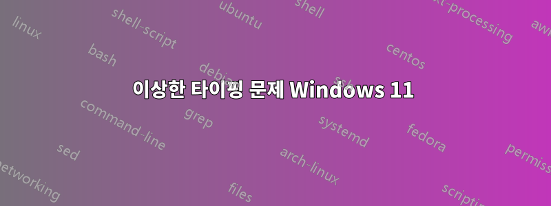 이상한 타이핑 문제 Windows 11