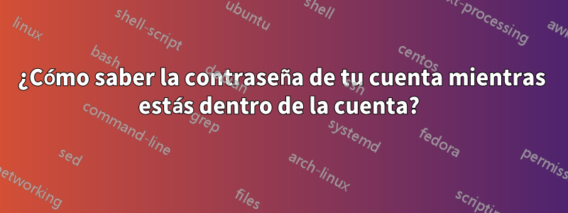 ¿Cómo saber la contraseña de tu cuenta mientras estás dentro de la cuenta? 