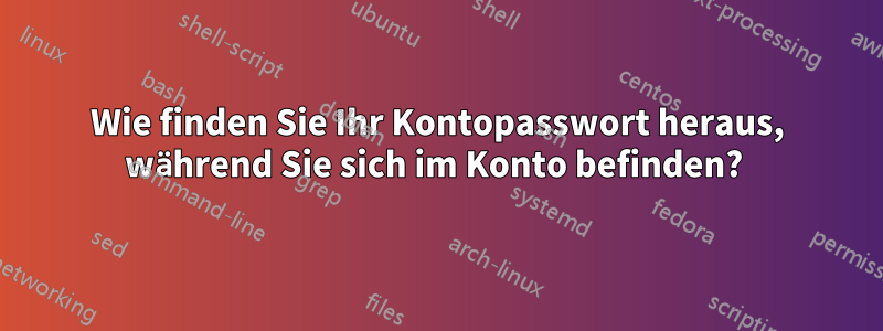 Wie finden Sie Ihr Kontopasswort heraus, während Sie sich im Konto befinden? 