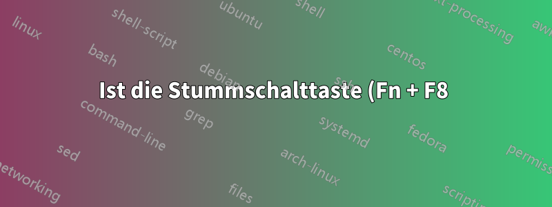 Ist die Stummschalttaste (Fn + F8) auf einem HP-Laptop ein physischer Schalter?