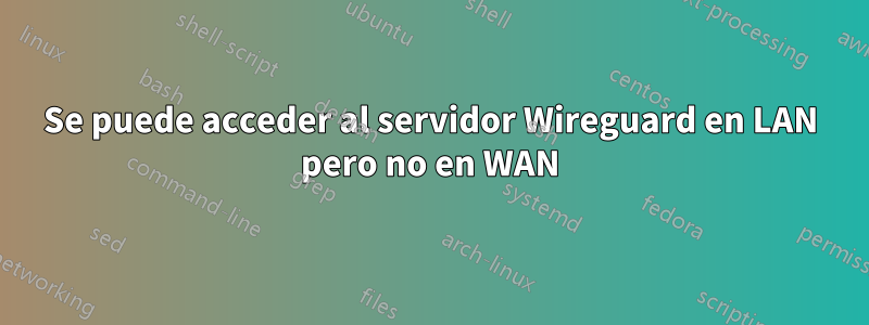 Se puede acceder al servidor Wireguard en LAN pero no en WAN