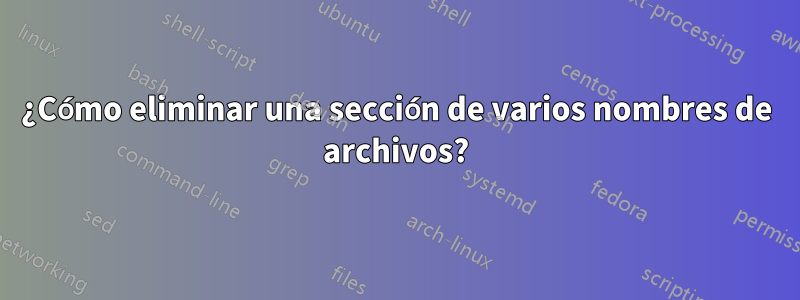 ¿Cómo eliminar una sección de varios nombres de archivos?