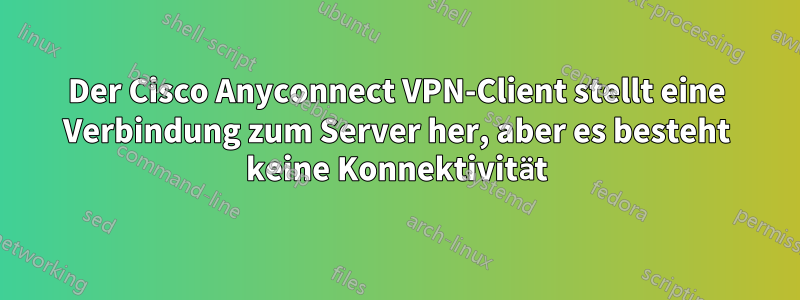 Der Cisco Anyconnect VPN-Client stellt eine Verbindung zum Server her, aber es besteht keine Konnektivität