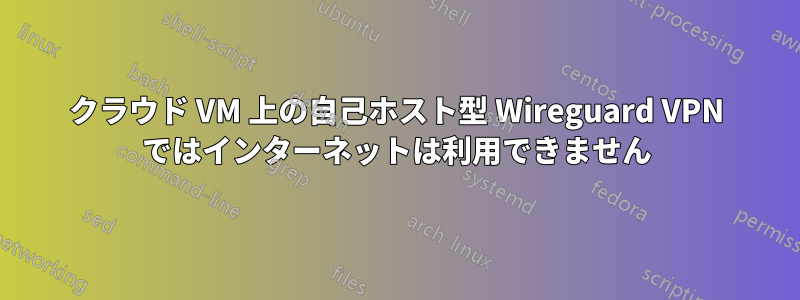 クラウド VM 上の自己ホスト型 Wireguard VPN ではインターネットは利用できません