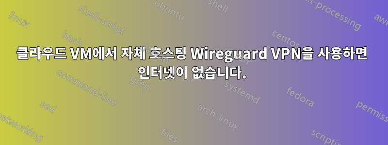 클라우드 VM에서 자체 호스팅 Wireguard VPN을 사용하면 인터넷이 없습니다.