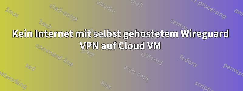 Kein Internet mit selbst gehostetem Wireguard VPN auf Cloud VM