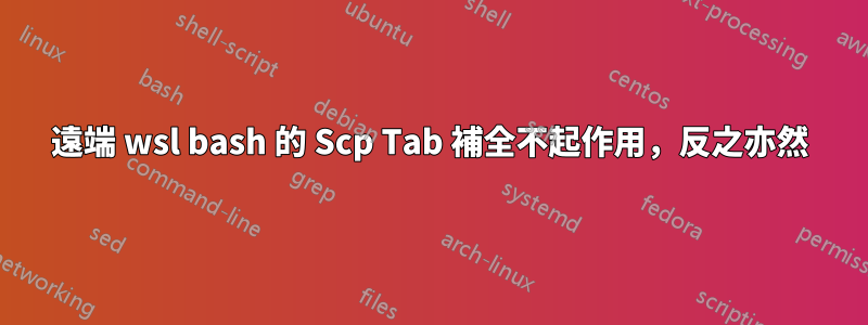 遠端 wsl bash 的 Scp Tab 補全不起作用，反之亦然