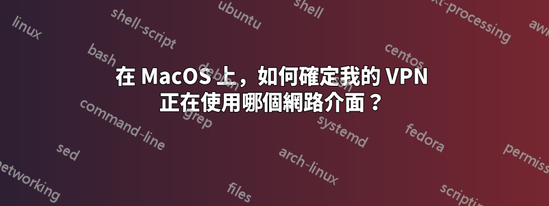 在 MacOS 上，如何確定我的 VPN 正在使用哪個網路介面？