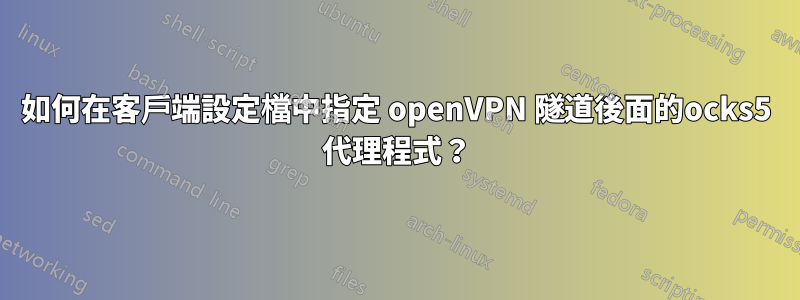 如何在客戶端設定檔中指定 openVPN 隧道後面的ocks5 代理程式？