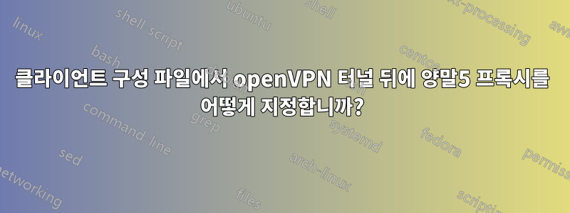 클라이언트 구성 파일에서 openVPN 터널 뒤에 양말5 프록시를 어떻게 지정합니까?